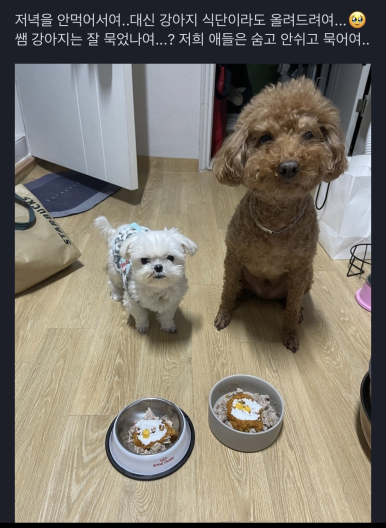 디에타PT 이미지
