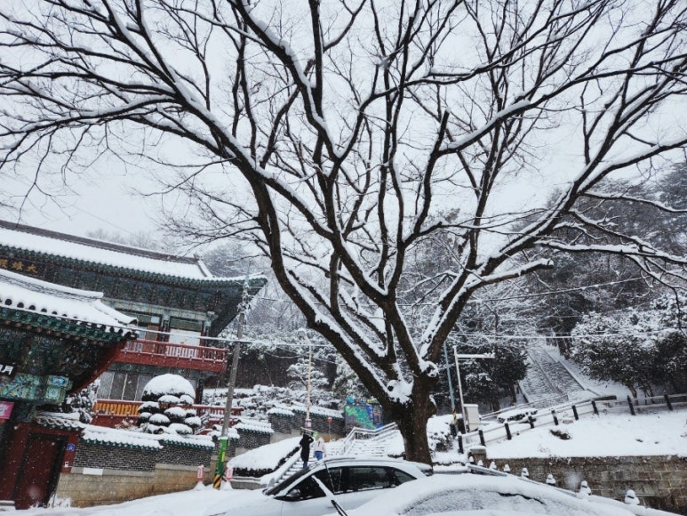 군산반야유치원 이미지