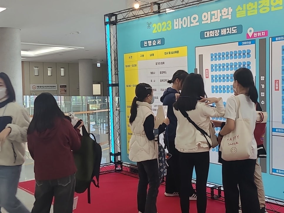 가야미과 이미지
