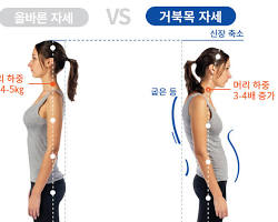 드림PT 이미지