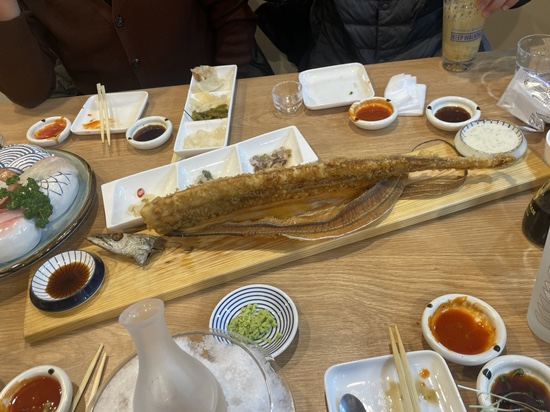 서서자는물고기 이미지