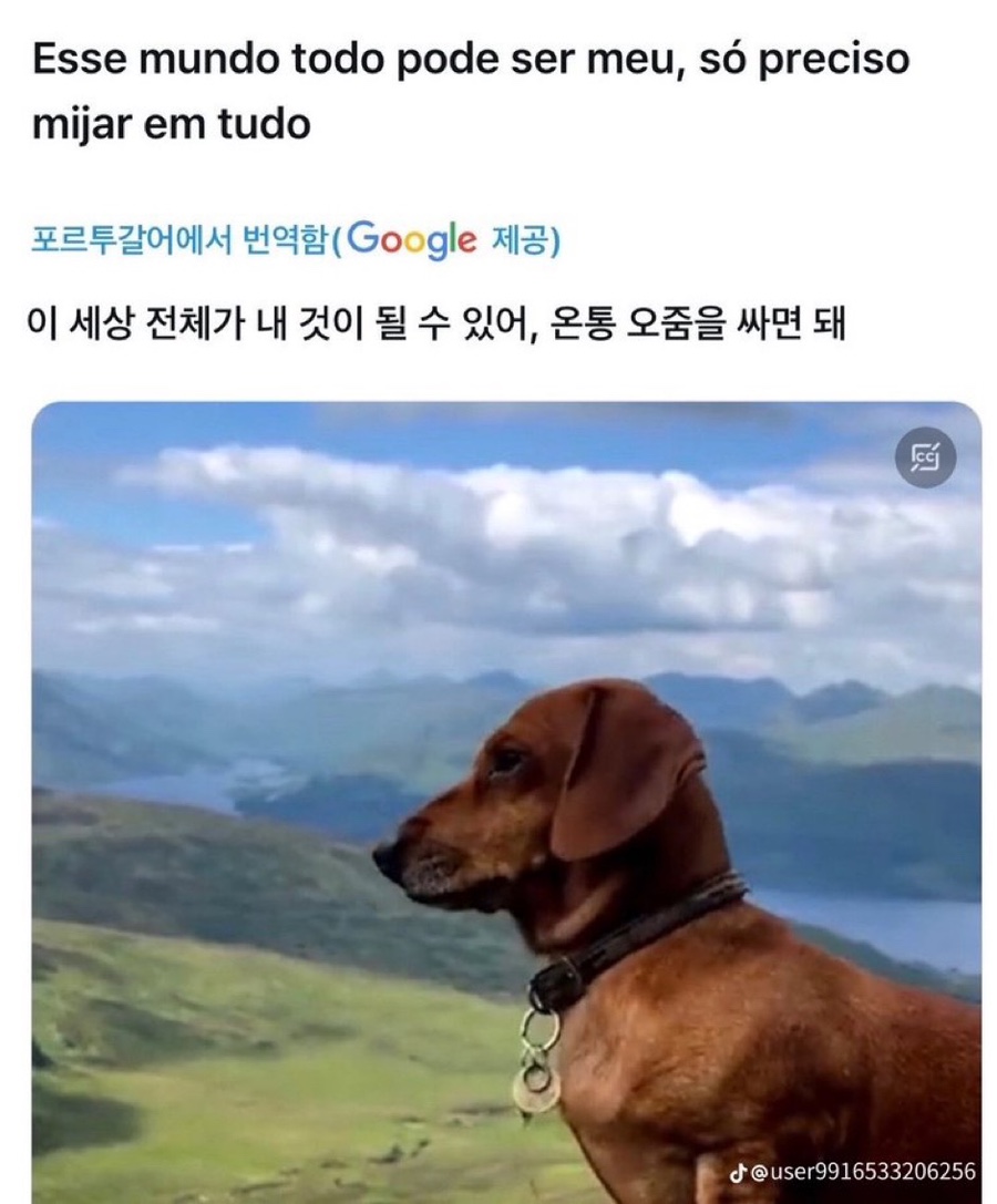 말랑단단 이미지