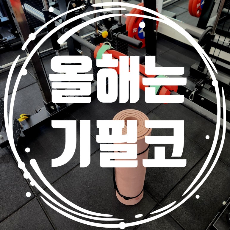 와이바디짐 이미지