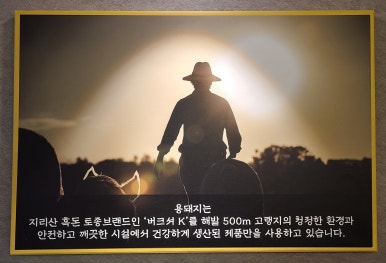 육백보물 이미지
