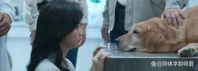 이가락 이미지