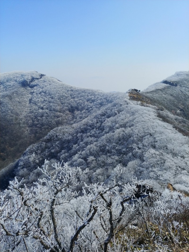 신가네냉면 이미지