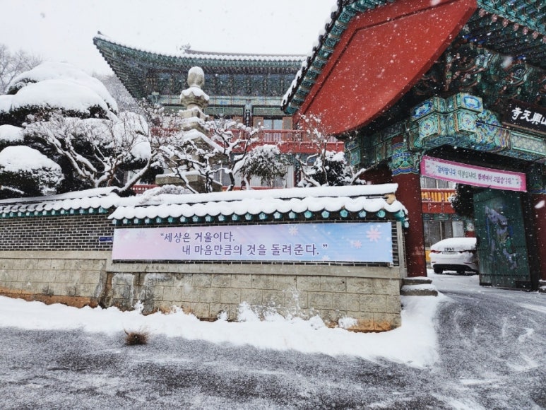 군산반야유치원 이미지