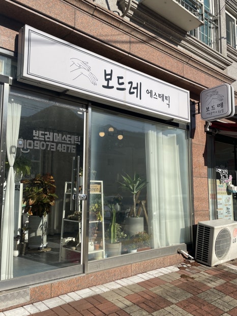 보드레 에스테틱 이미지
