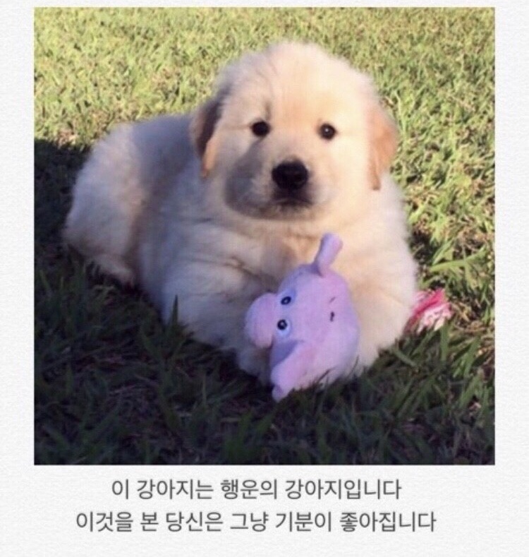 마스터PT운동과학센터 이미지