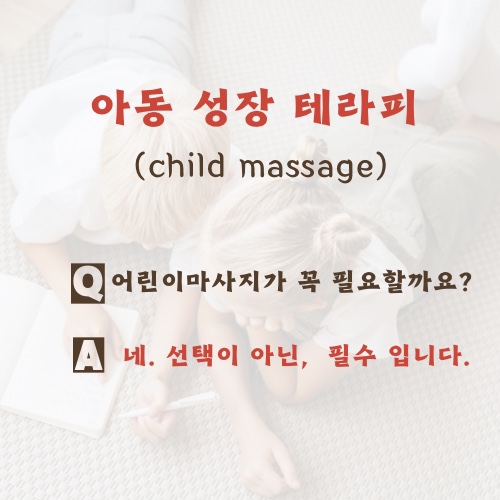소프니스 이미지