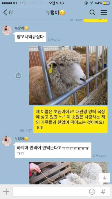 영애숙성양갈비 이미지