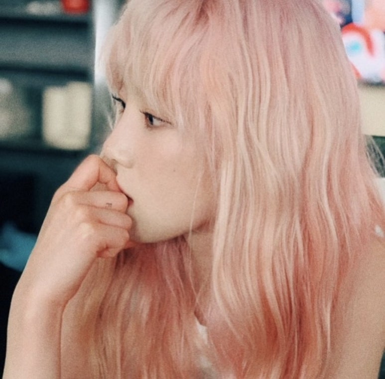 하임 염색 이미지