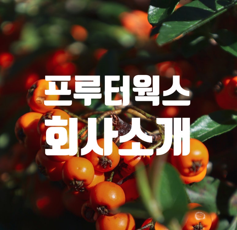 프루터 이미지