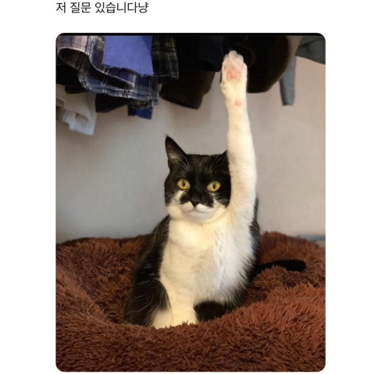 주식사랑 이미지