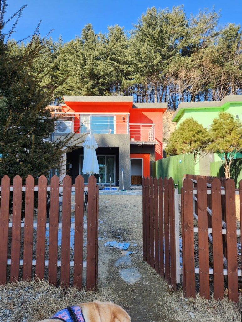 위드펫빌리지 이미지