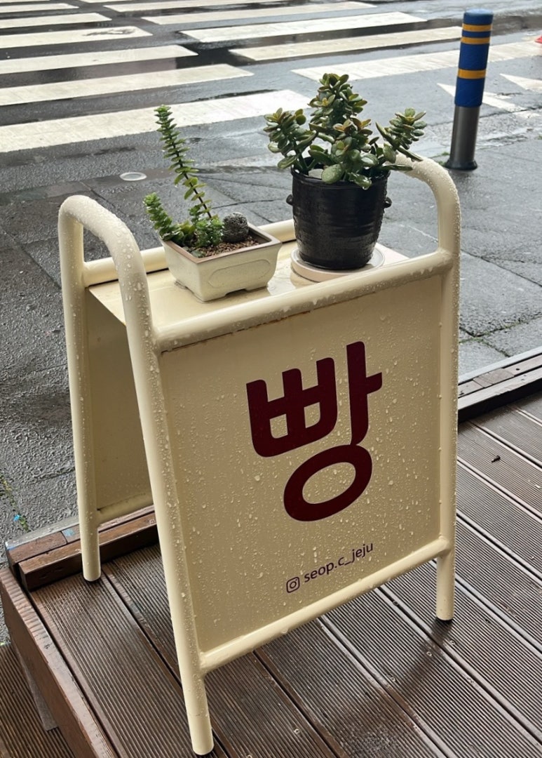 섭씨제주 이미지