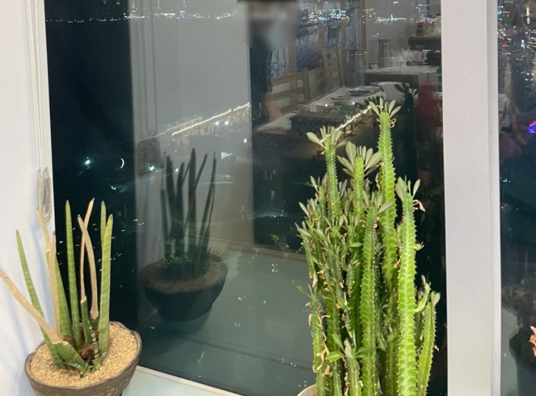 본전상회 이미지