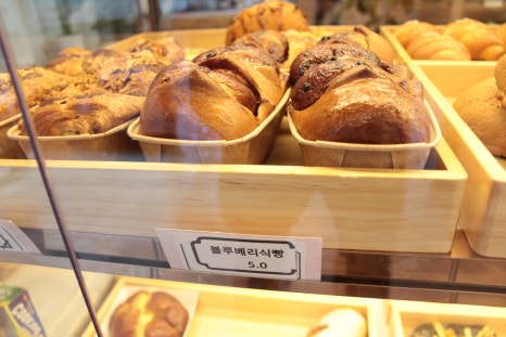이녹47 이미지