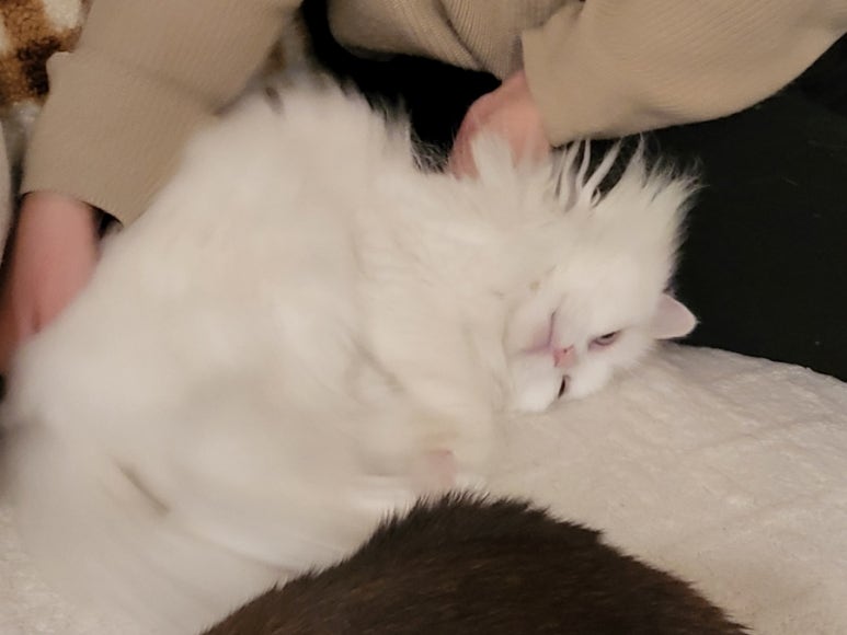 인테리어모든 이미지