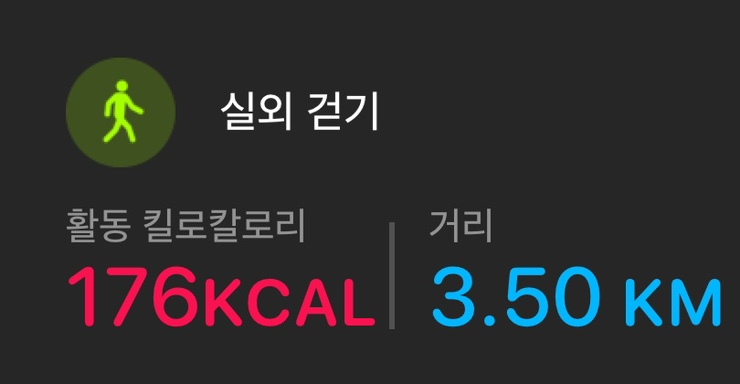 랩꼬치 이미지