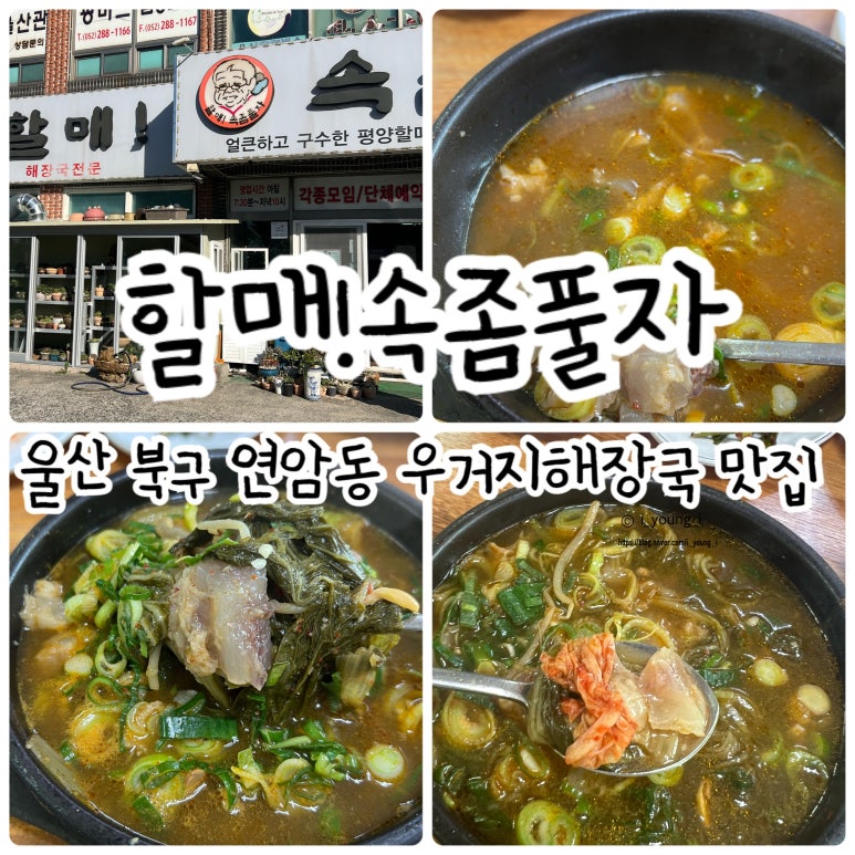 할매속좀풀자 이미지
