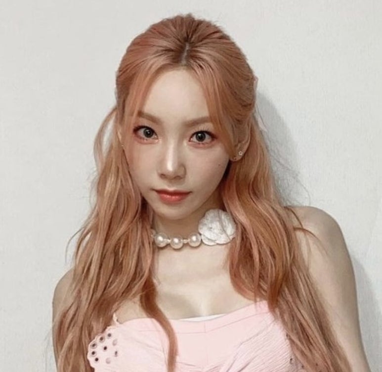 하임 염색 이미지