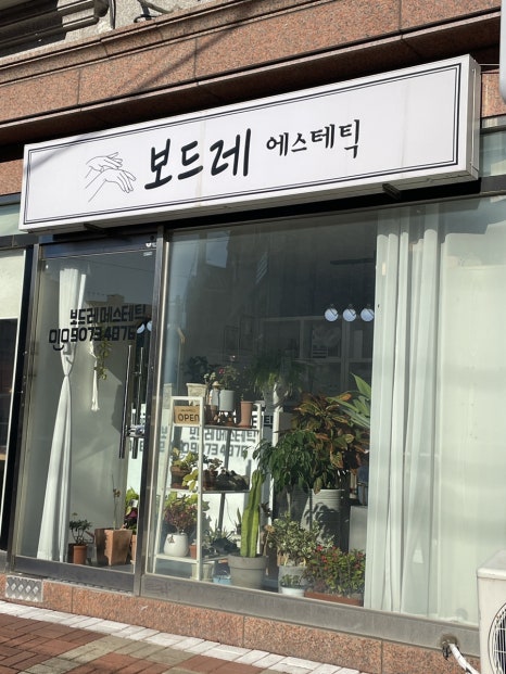 보드레 에스테틱 이미지