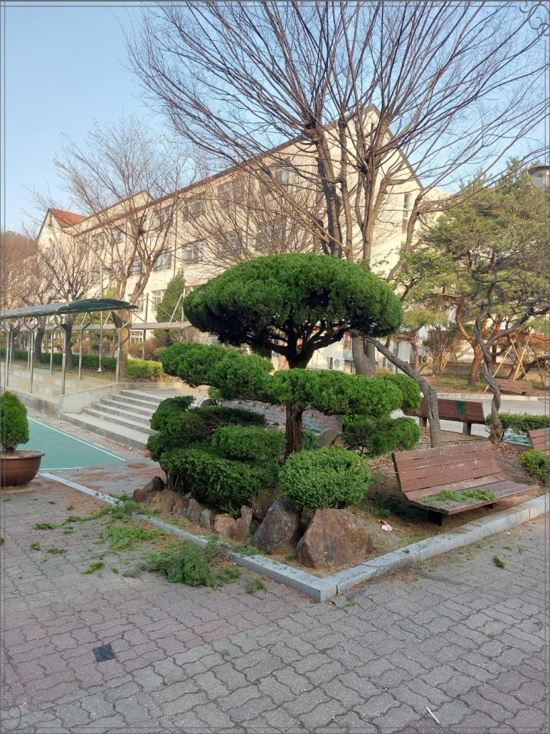 가나조경 이미지
