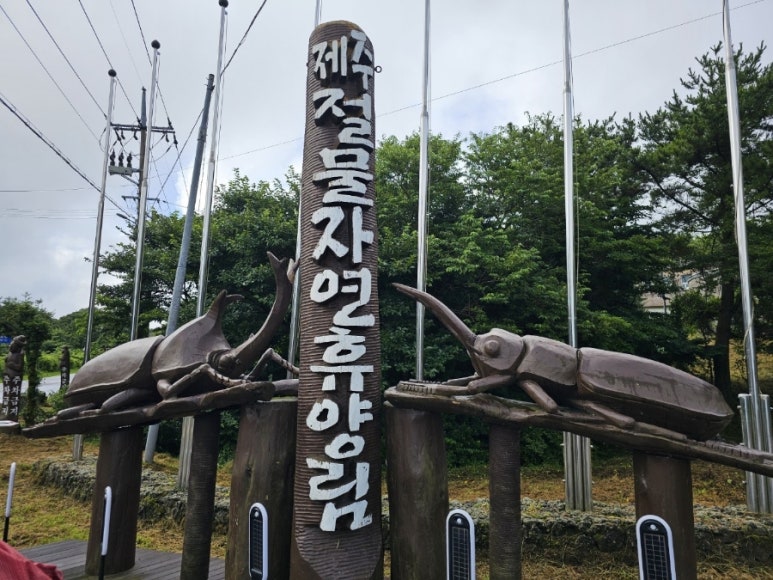 제주절물자연휴양림 이미지