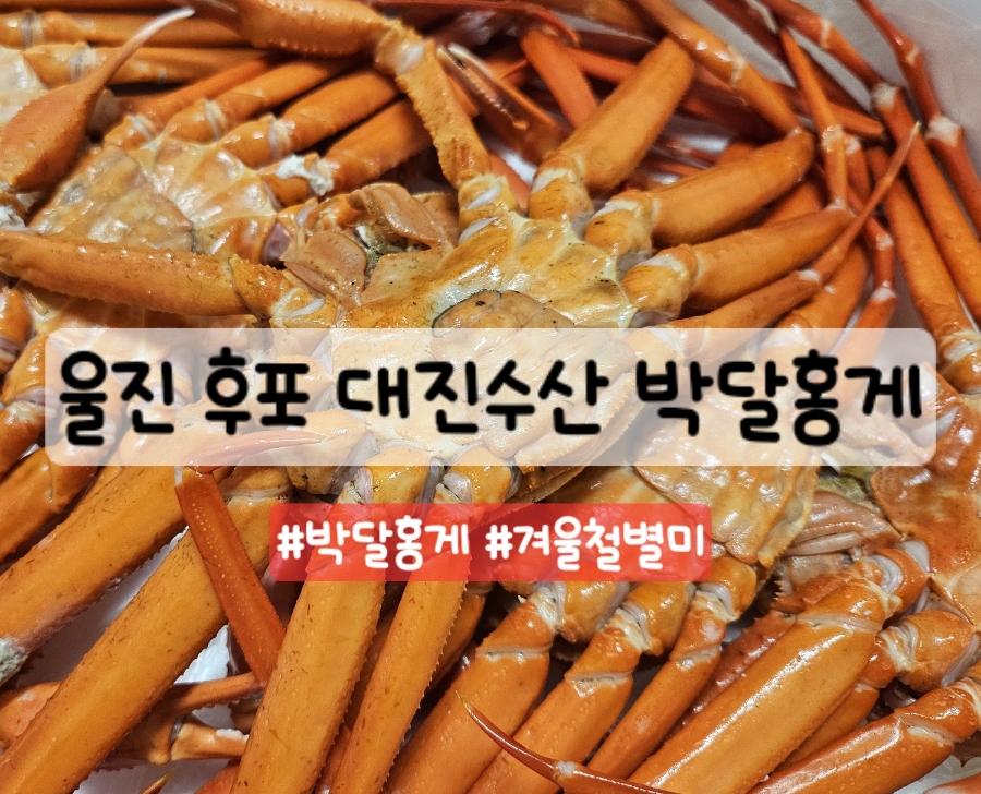 대진수산 이미지