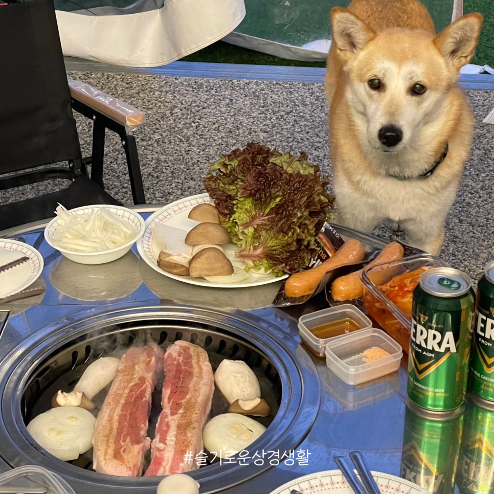 포천파리바게뜨 이미지