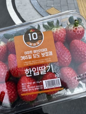 비오비피씨방 이미지