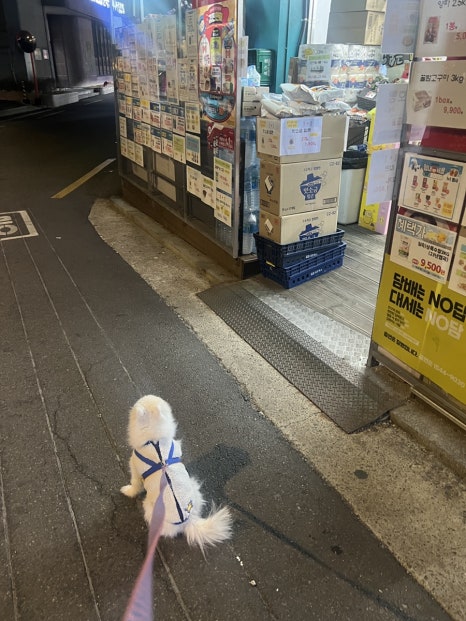GS사당수석점 이미지