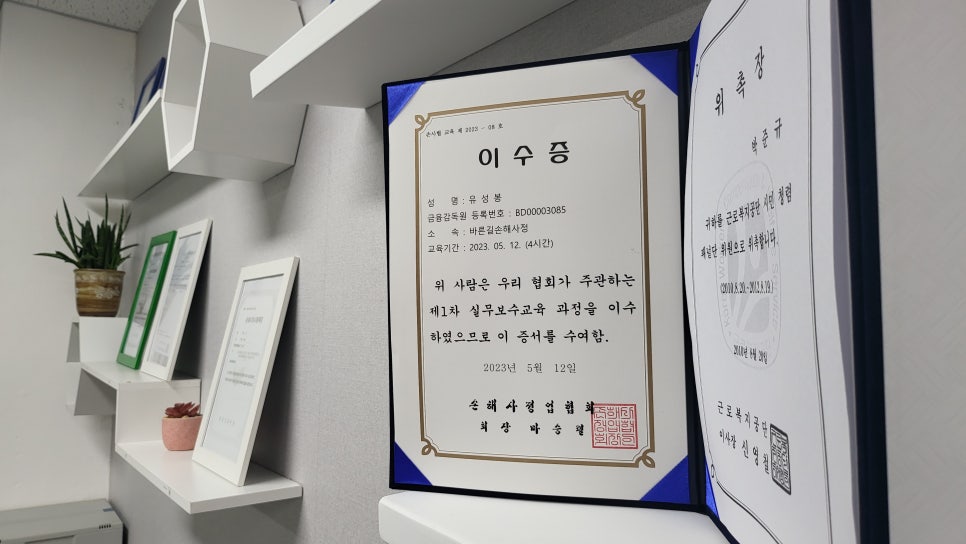 블로그 사진 11