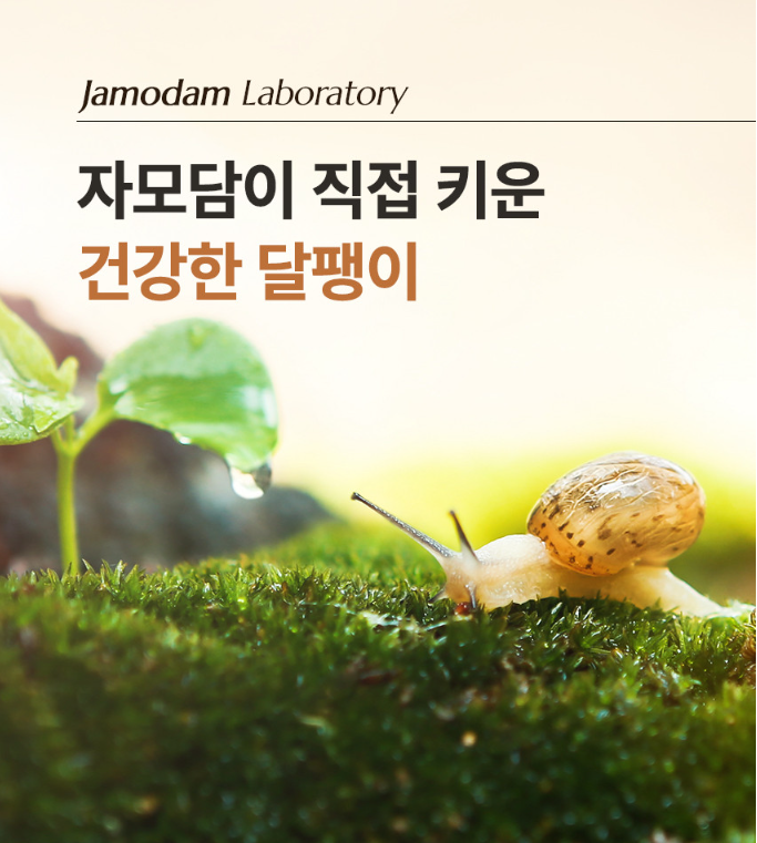 코코자모 이미지