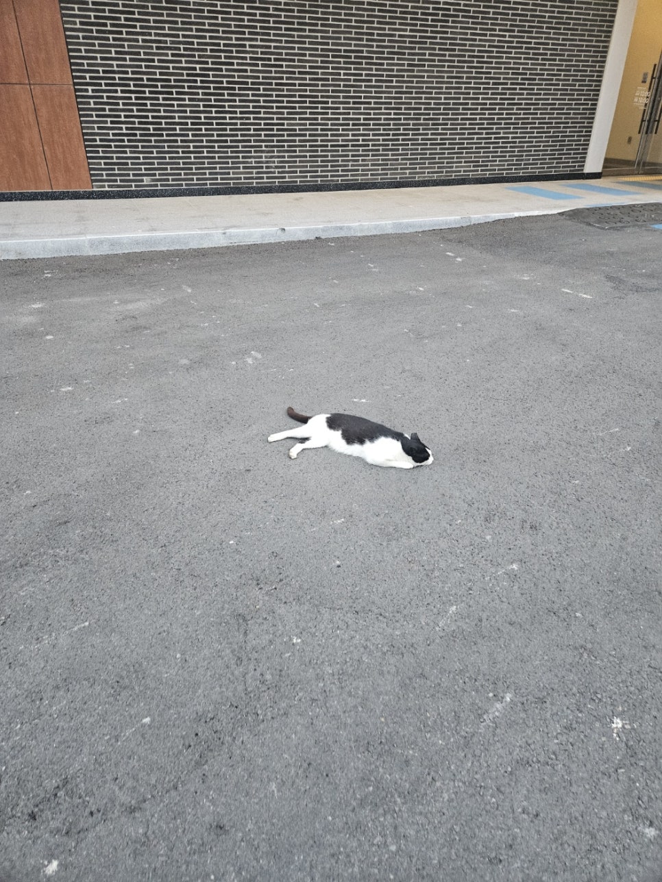 윤카페 이미지