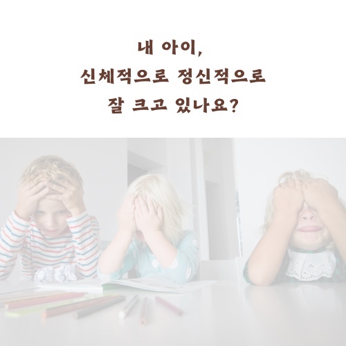 소프니스 이미지