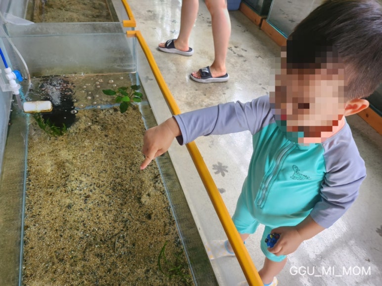 자호천생태학교 이미지