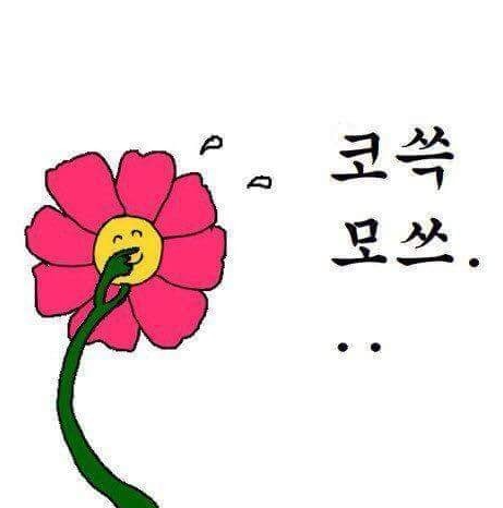 육육곱창 이미지