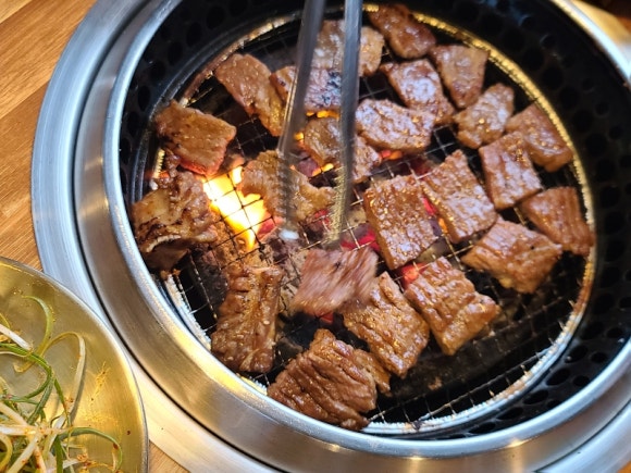 갈비대학교 이미지