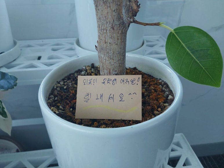 기업연합행정사사무소 이미지