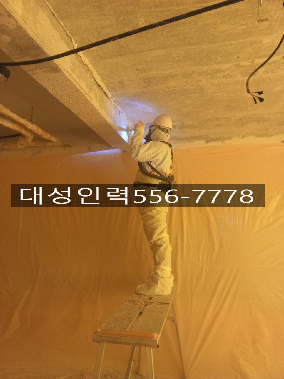 대성인력개발 이미지