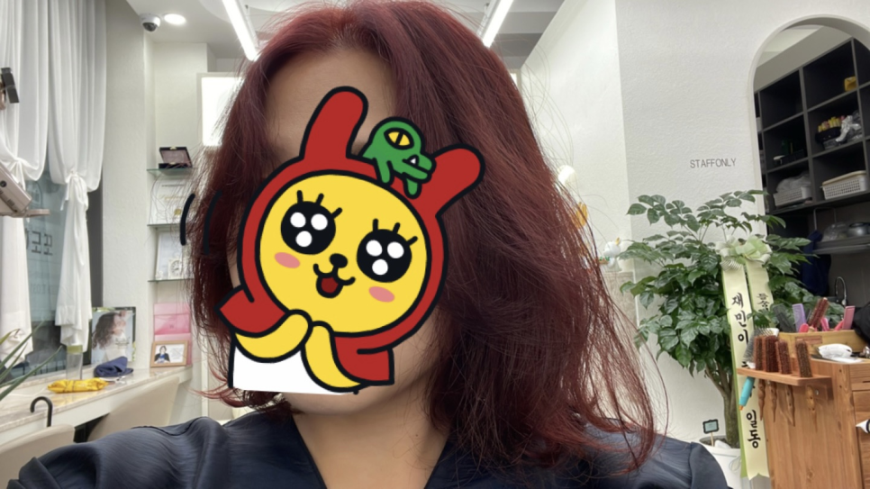 또도헤어 이미지