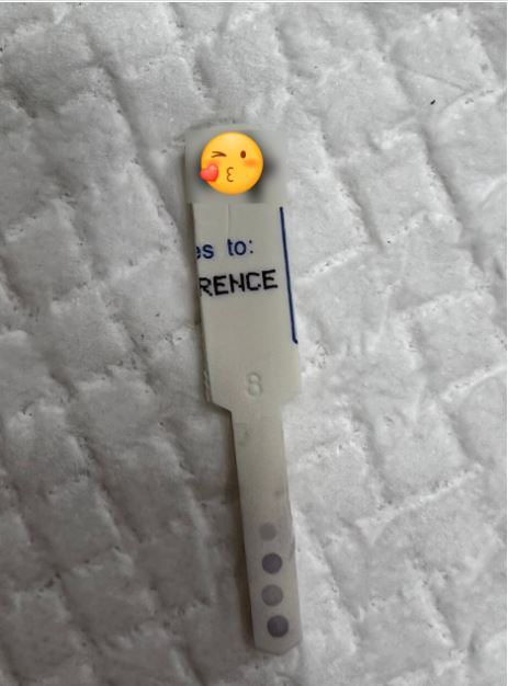 묘주가 이미지
