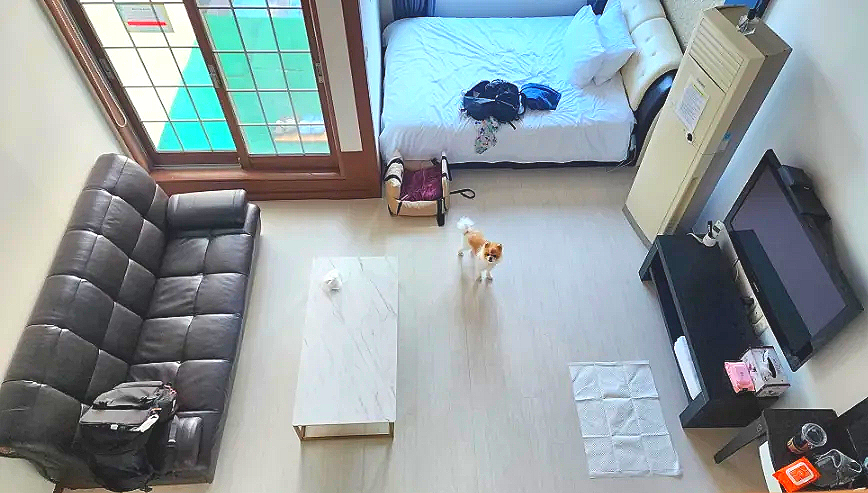 엘피라인 이미지