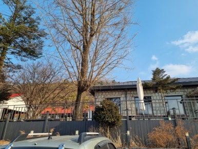 임진나루터집 이미지