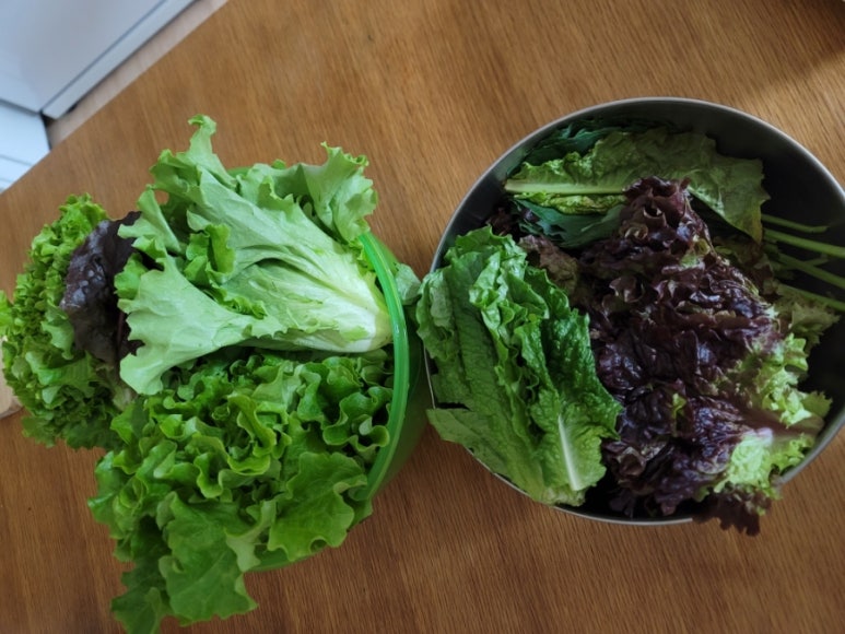 늘푸른 수수맛집 이미지
