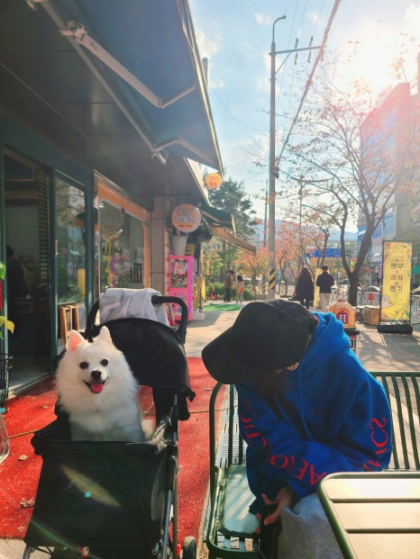 베러먼데이창원가음정 이미지
