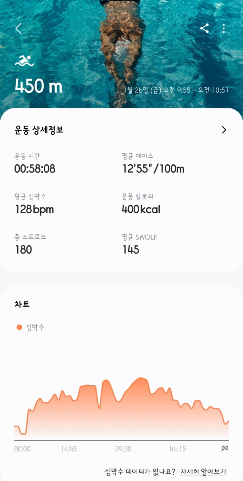 숲속꼬마김밥 이미지