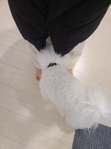 뉴타운댄스 이미지